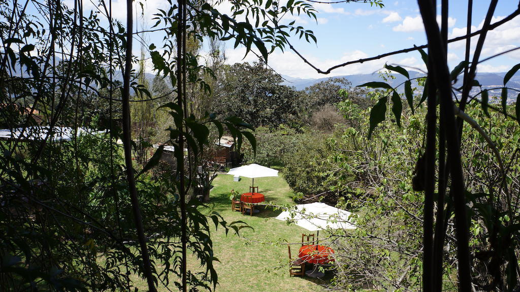La Casa Del Tilo Bed and Breakfast Hacienda Santa Rosa Zewnętrze zdjęcie